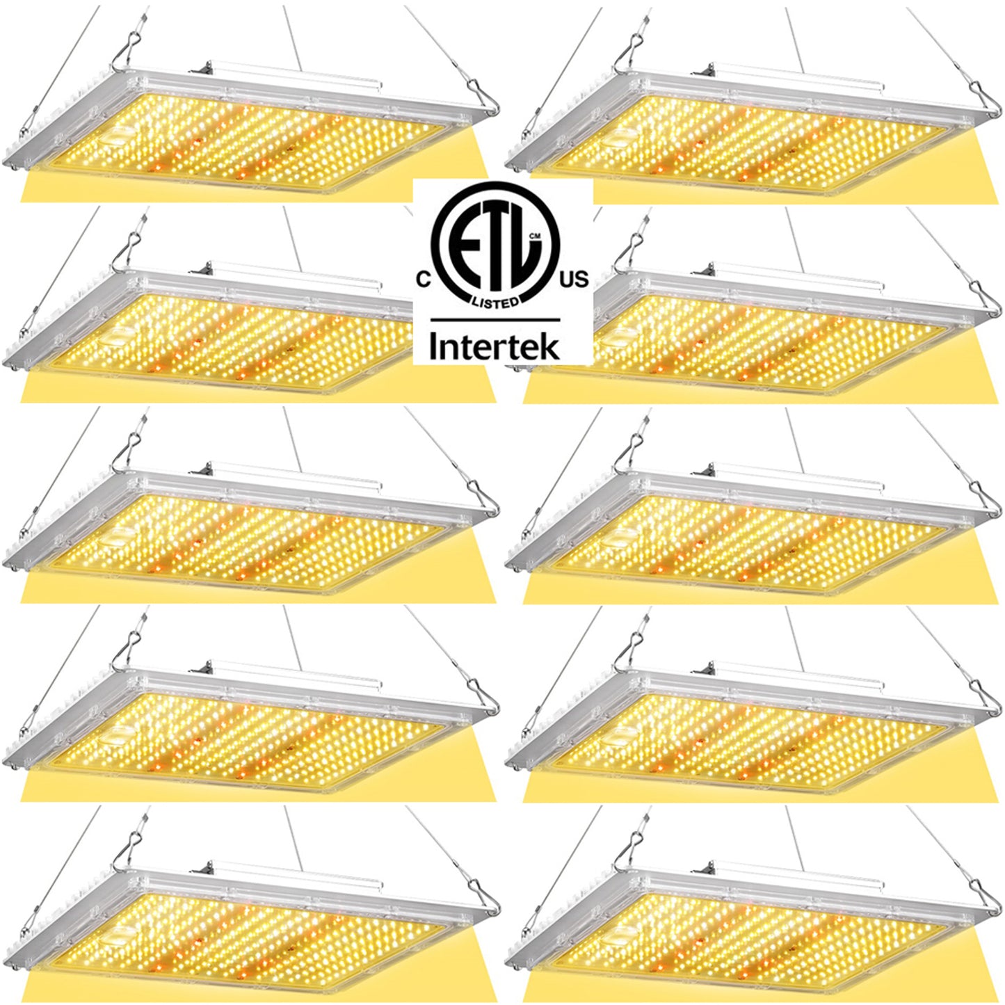 Led Grow Lights Canada 100w 17000Lm Replace Grow Light 1000w HPS; 10-1 Pack