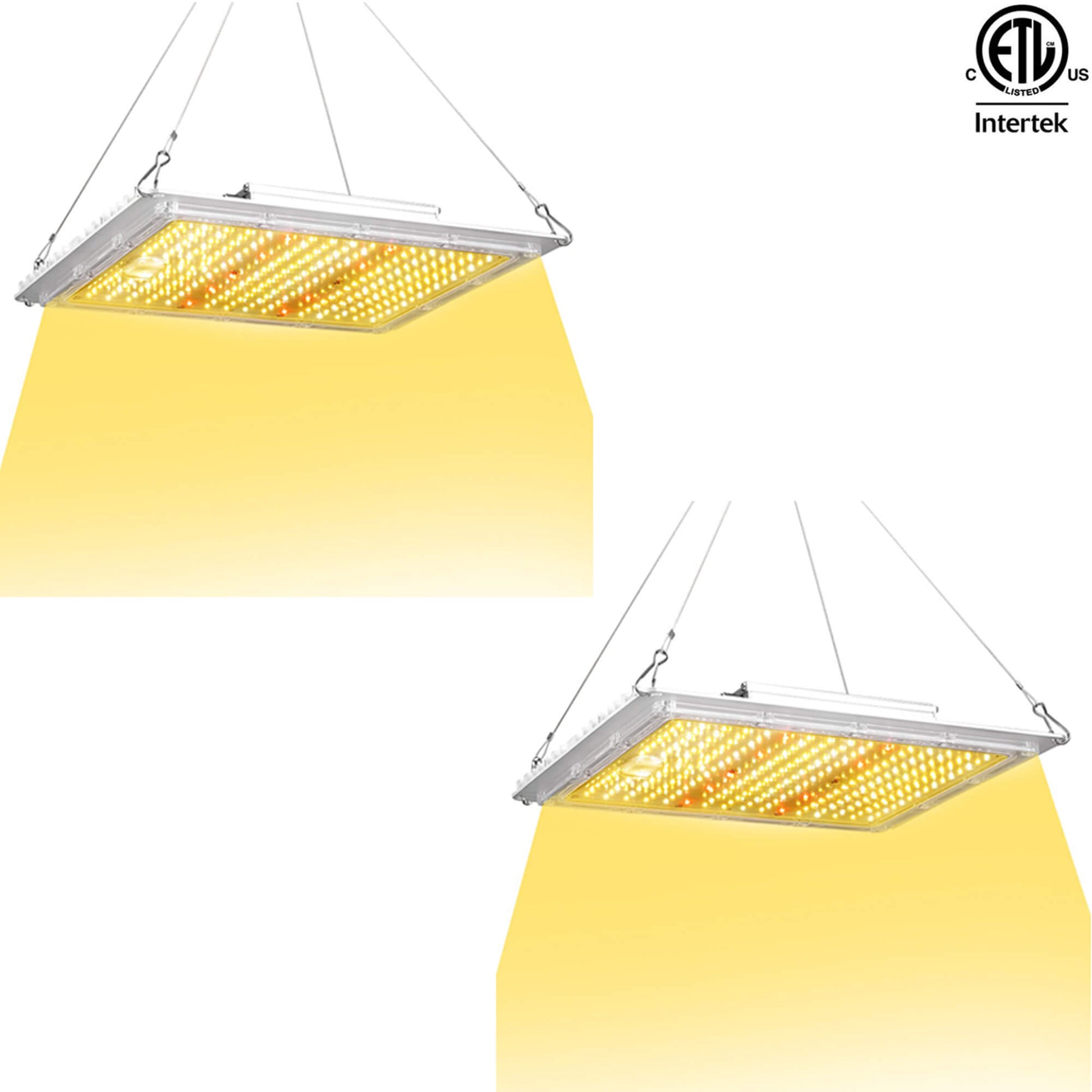100W full spectrum grow lights for indoor plants 2 pack.jpg