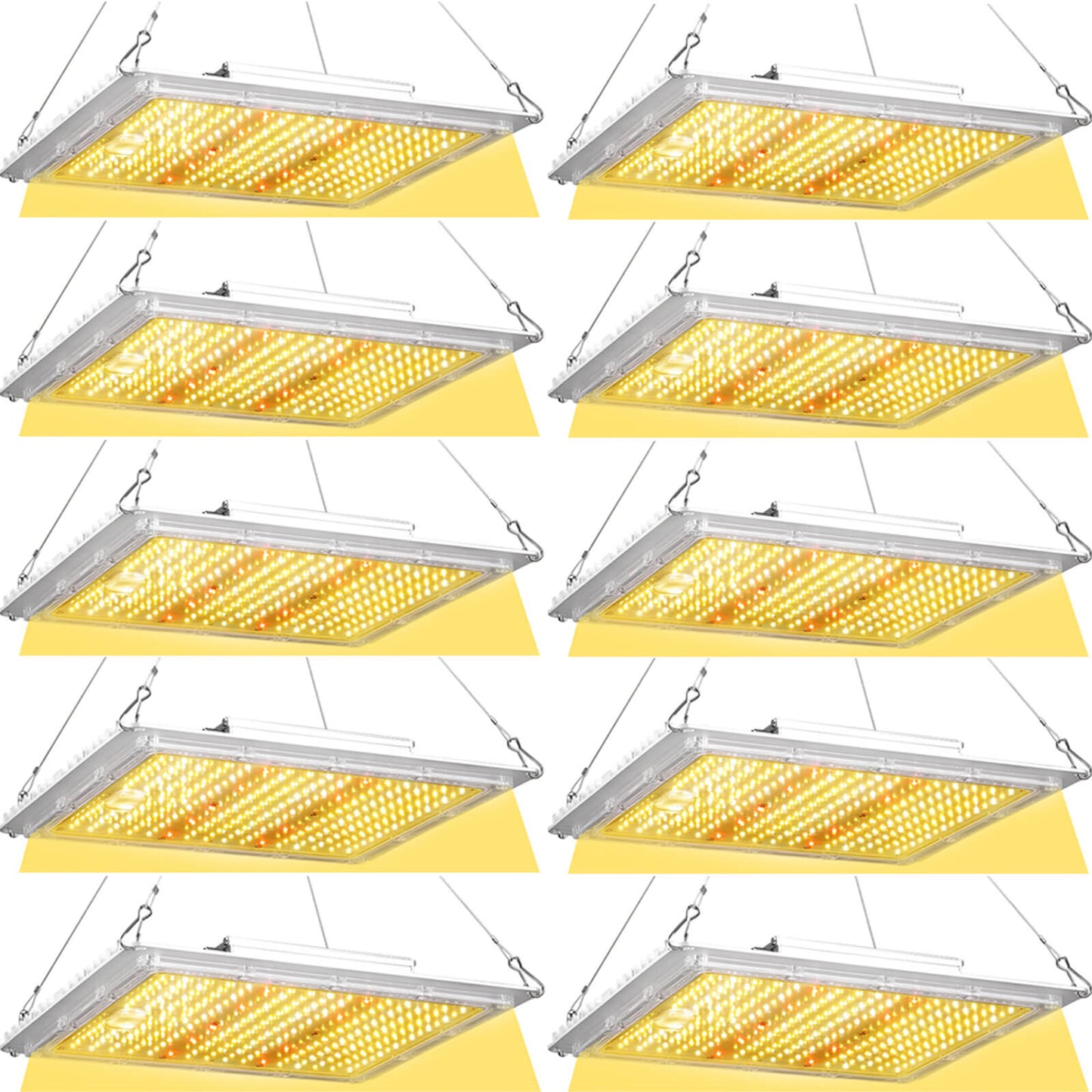 100W LED grow light ETL certified for safe use in Canada 10 pack.jpg
