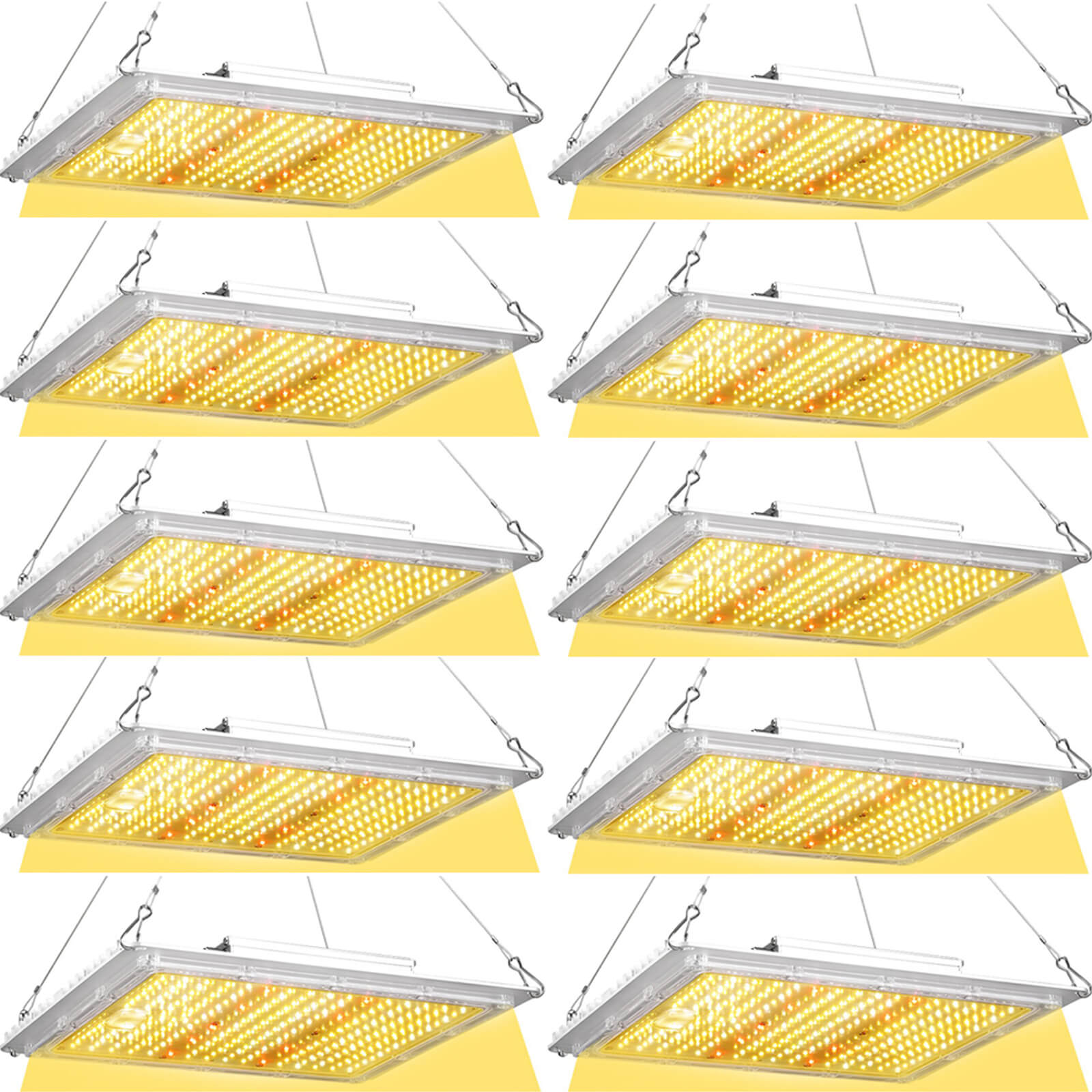 100W LED grow light ETL certified for safe use in Canada 10 pack.jpg