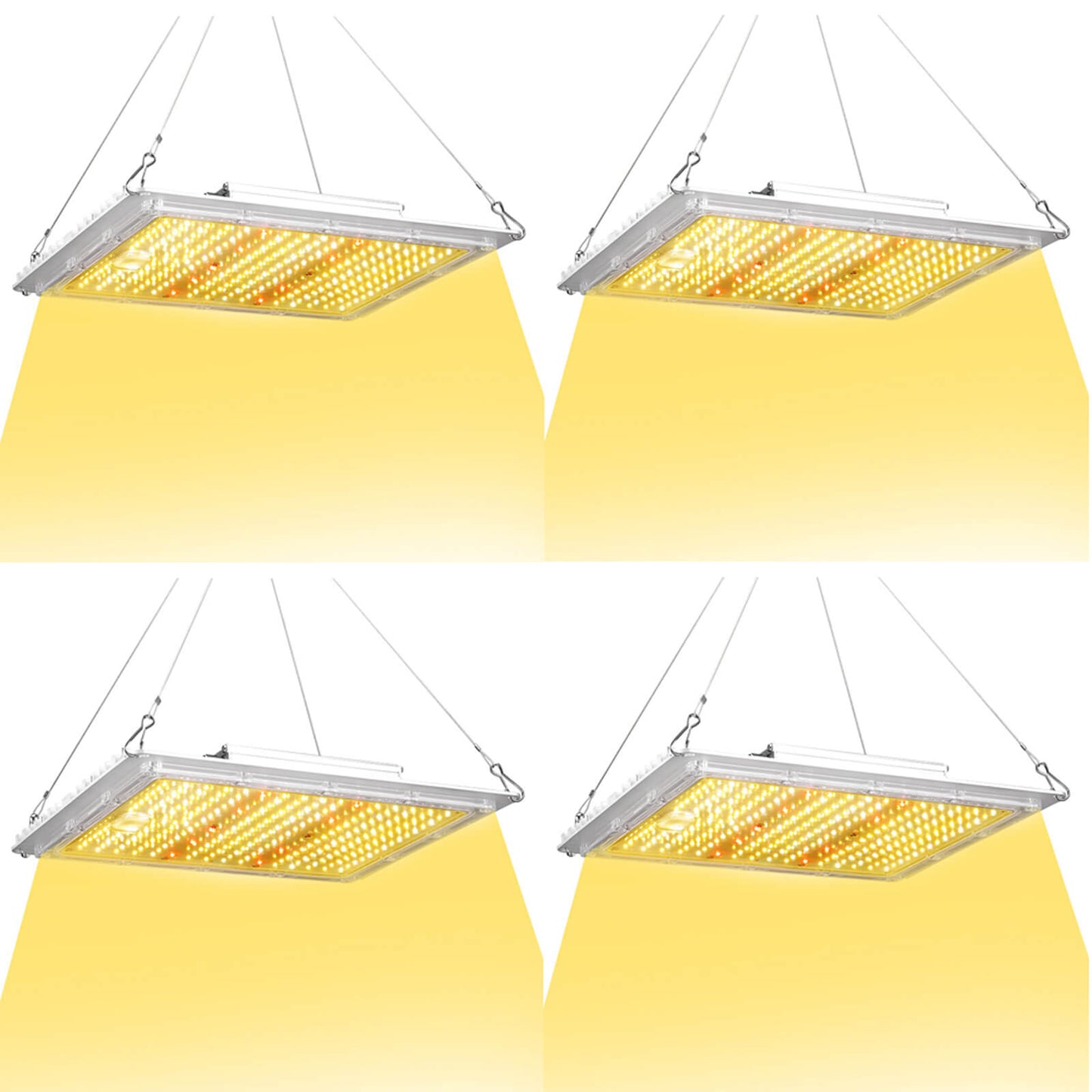 100W LED grow light hanging installation inside indoor grow tent 4 pack.jpg