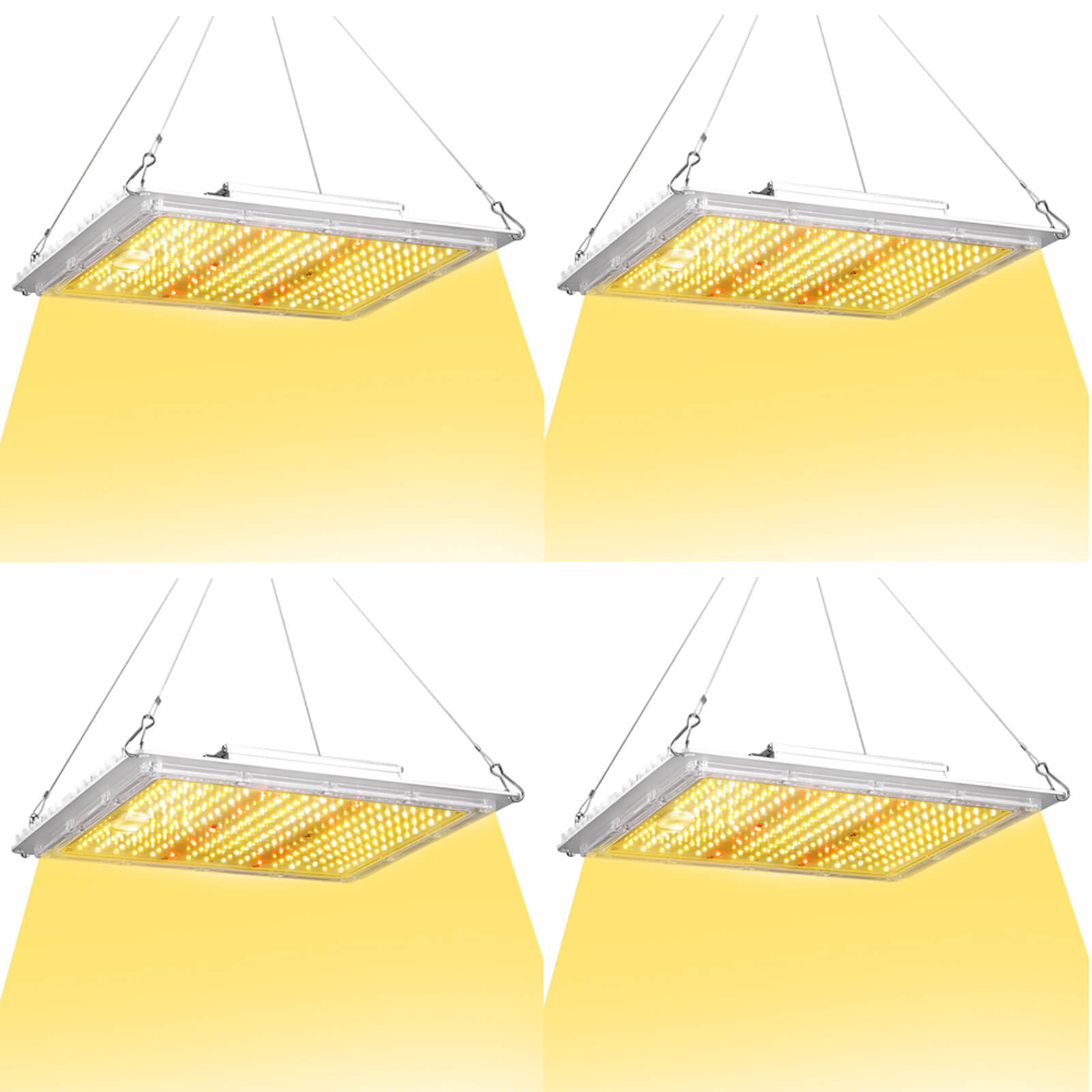 100W LED grow light hanging installation inside indoor grow tent 4 pack.jpg