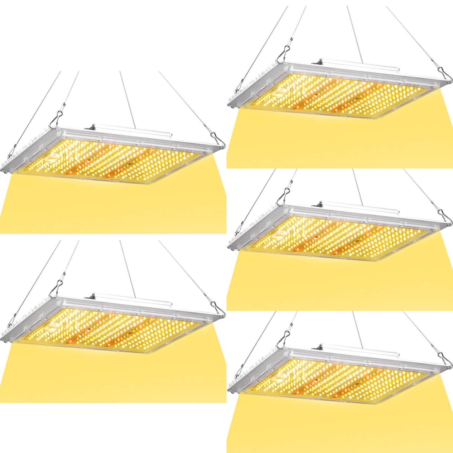 100W LED grow light for indoor plant growing and home gardening 5 pack.jpg