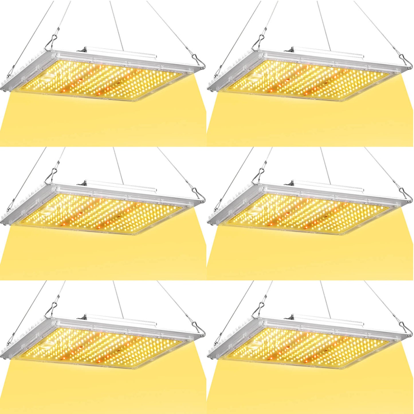 100W LED grow light IP65 waterproof for humid grow room environments 6 pack.jpg