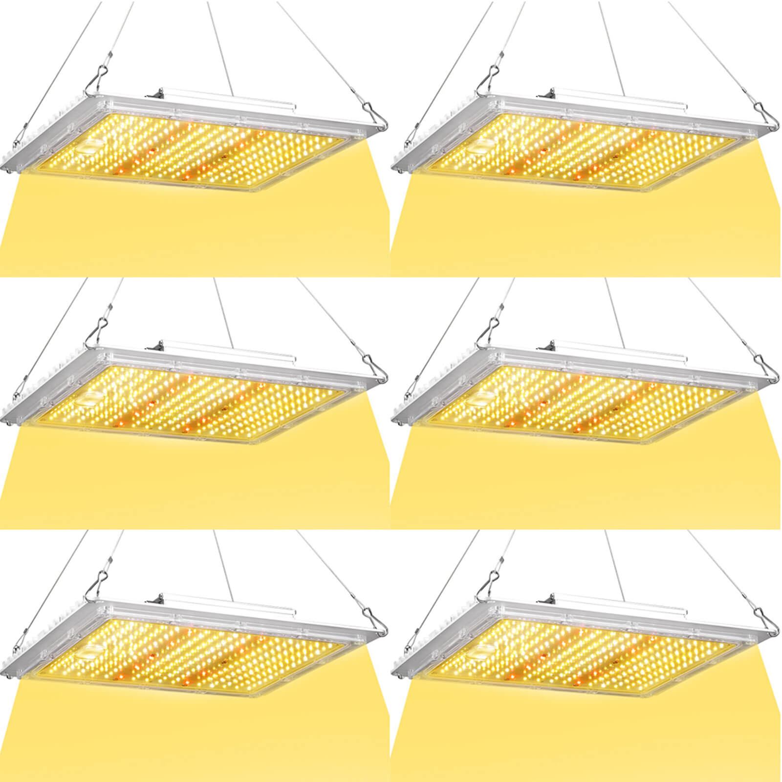 100W LED grow light IP65 waterproof for humid grow room environments 6 pack.jpg
