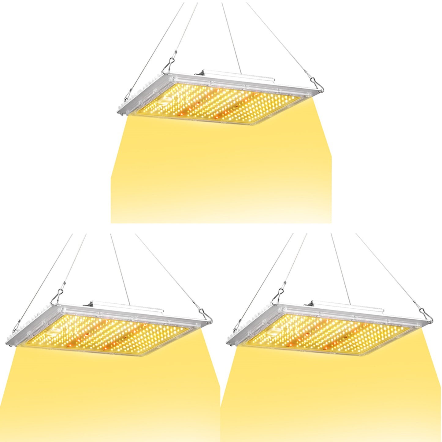 100W LED Grow Light Full Spectrum – Indoor Plant Grow Light for Seedlings, Veg & Bloom | ETL Canada