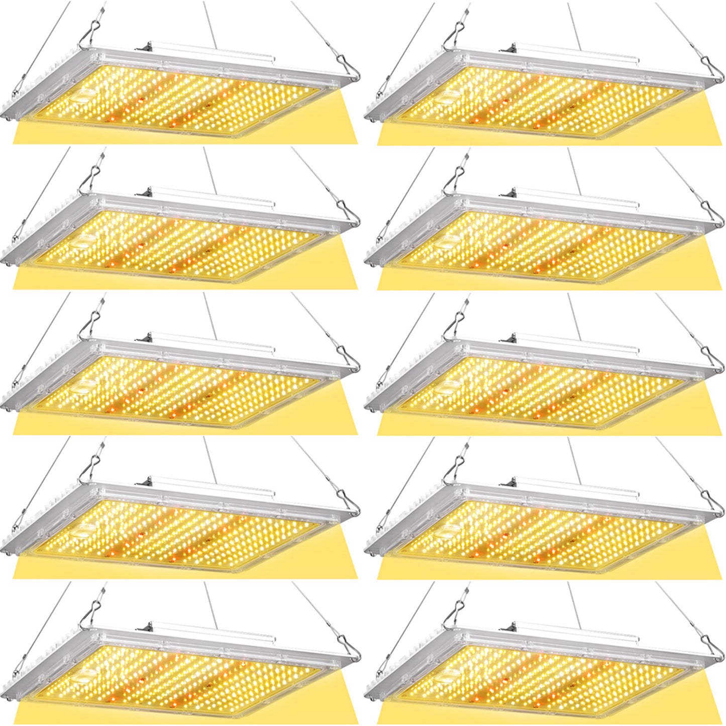 100W LED Grow Light Full Spectrum – Indoor Plant Grow Light for Seedlings, Veg & Bloom | ETL Canada