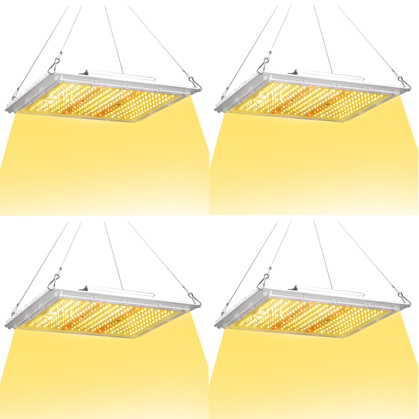 100W LED Grow Light Full Spectrum – Indoor Plant Grow Light for Seedlings, Veg & Bloom | ETL Canada