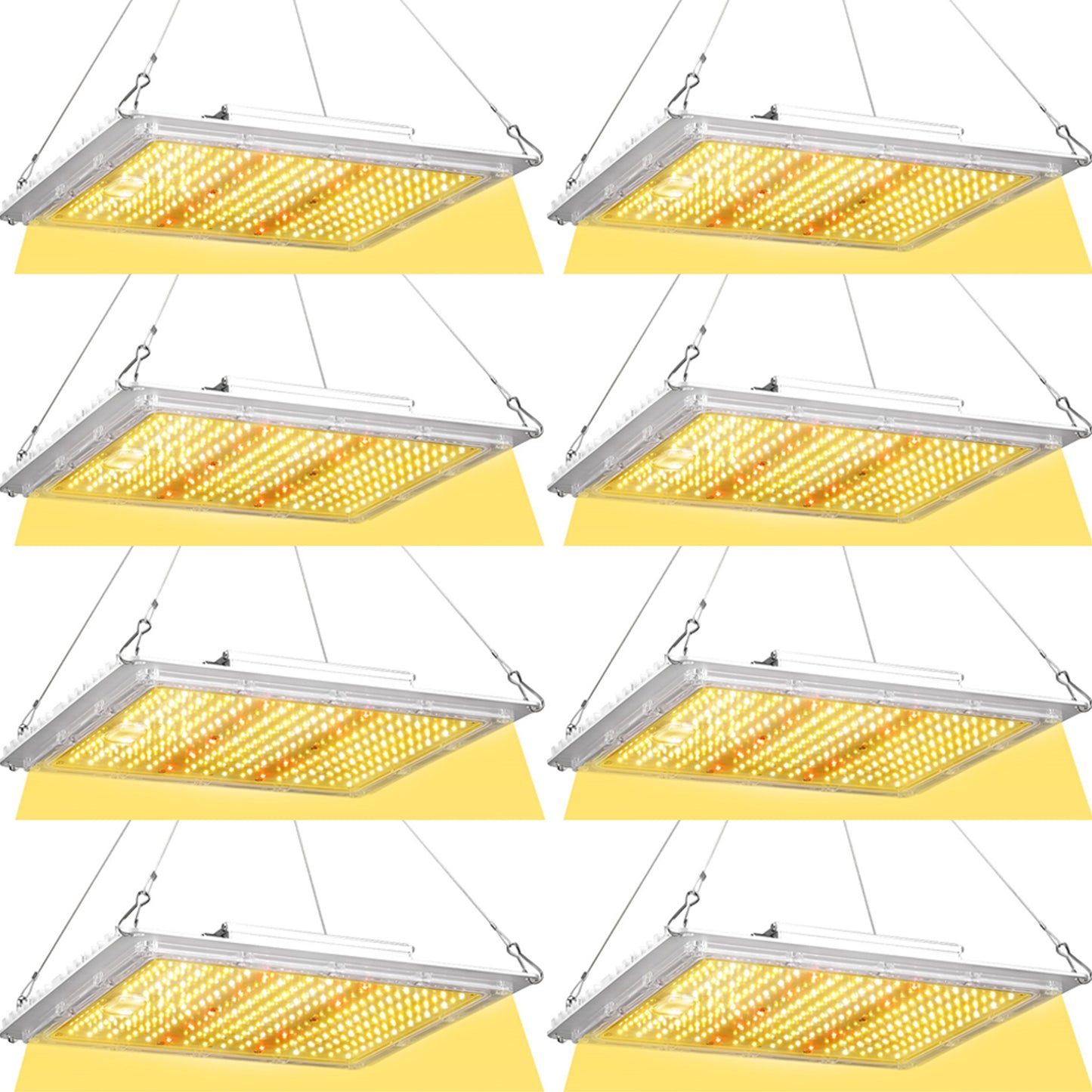 100W LED Grow Light Full Spectrum – Indoor Plant Grow Light for Seedlings, Veg & Bloom | ETL Canada