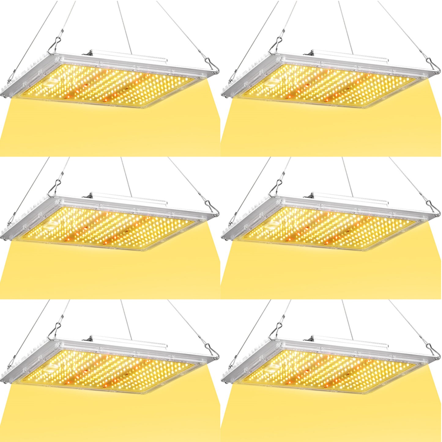 100W LED Grow Light Full Spectrum – Indoor Plant Grow Light for Seedlings, Veg & Bloom | ETL Canada